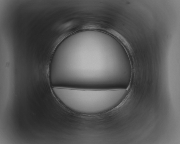 X0000101221337200806270916