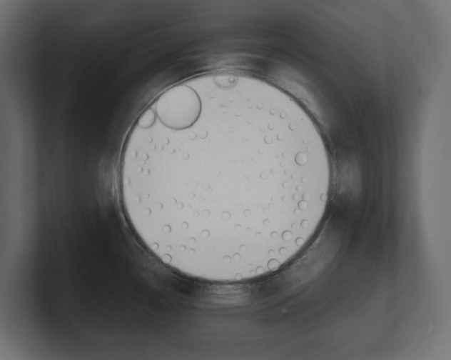 X0000101221338200806270916