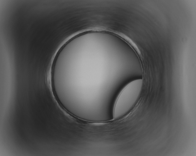 X0000101221343200806270917