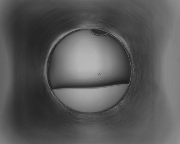 X0000101221344200806270917