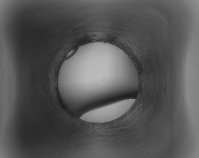 X0000101221345200806270916