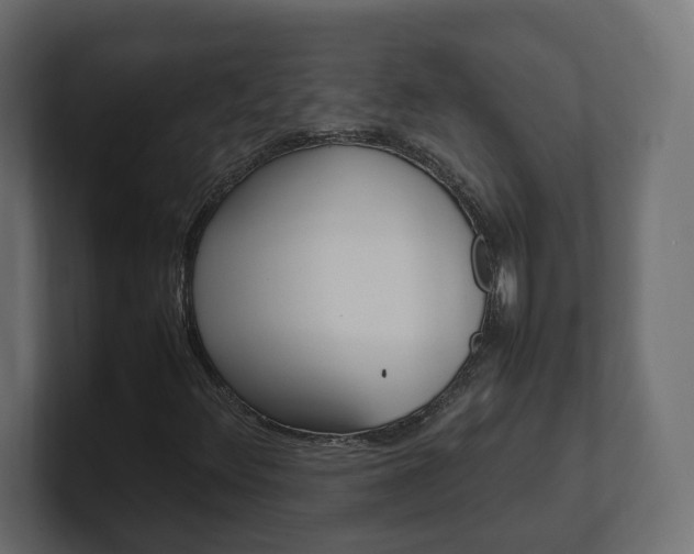 X0000101221348200806270916