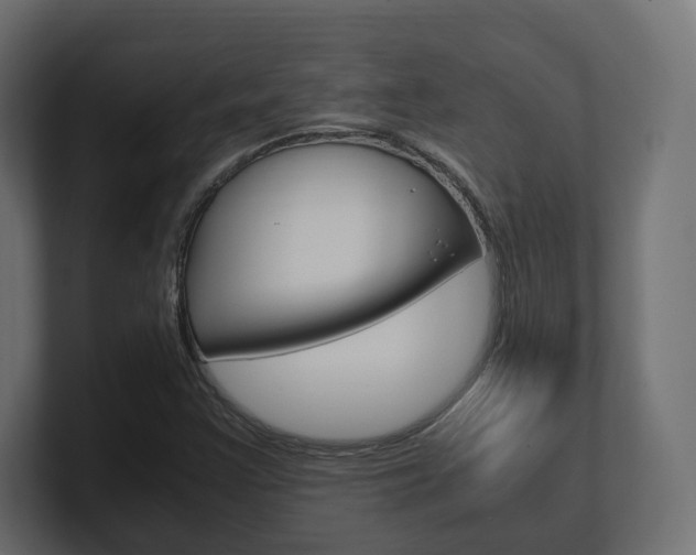 X0000101221355200806270916
