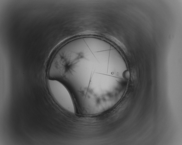 X0000101221356200806270916