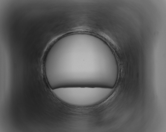 X0000101221358200806270916