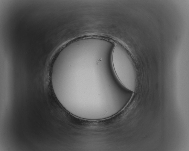 X0000101221359200806270916
