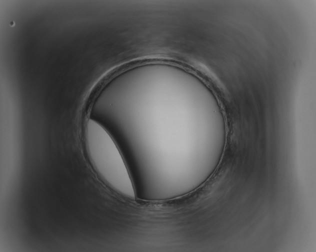 X0000101221360200806270916