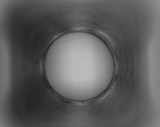 X0000101221361200806270916