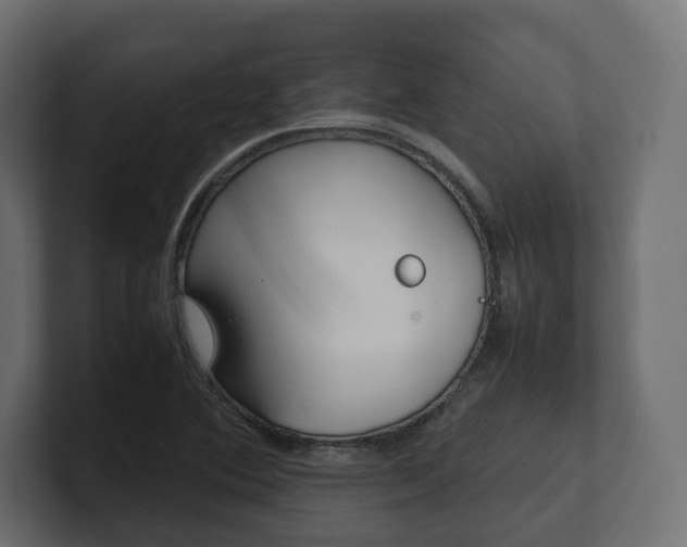 X0000101221364200806270916