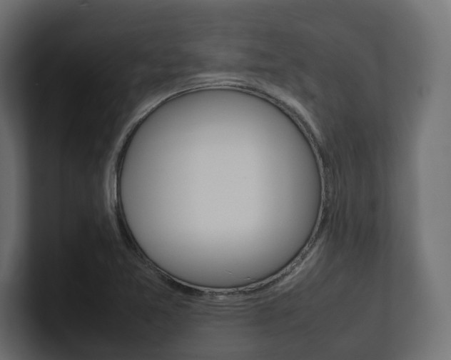 X0000101221365200806270916