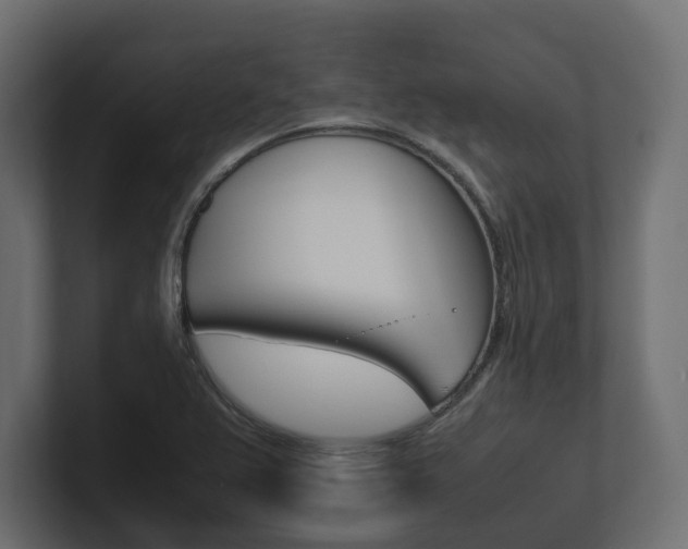 X0000101221367200806270916