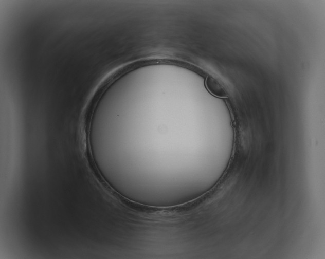 X0000101221368200806270916