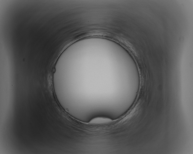 X0000101221369200806270916