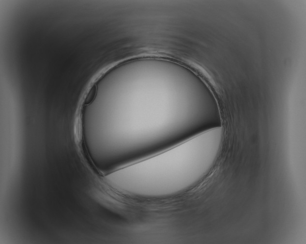 X0000101221371200806270915