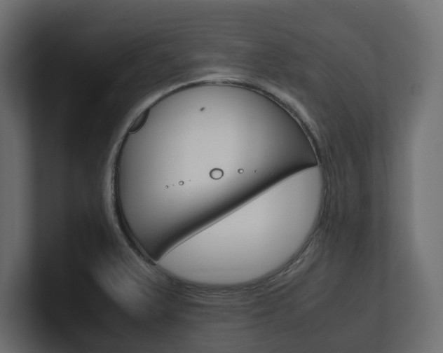 X0000101221375200806270915