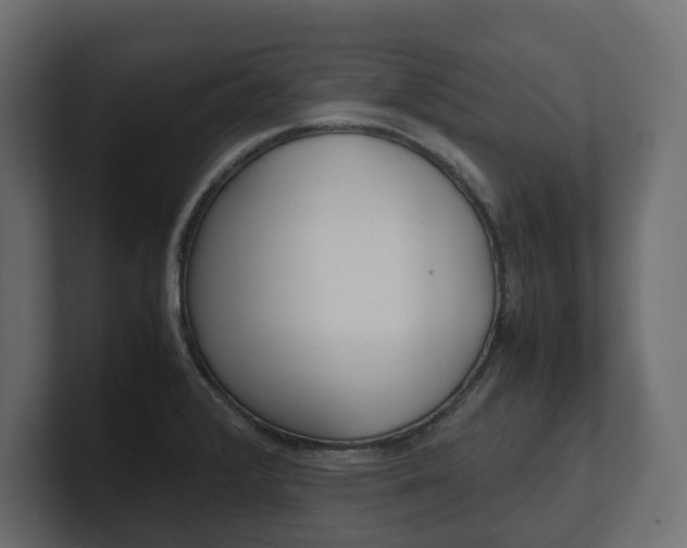 X0000101221376200806270915