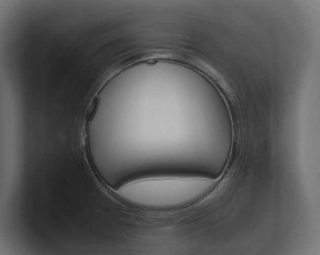 X0000101221377200806270915