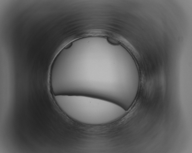 X0000101221378200806270915