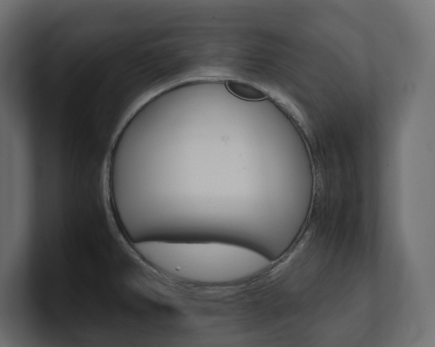 X0000101221382200806270915