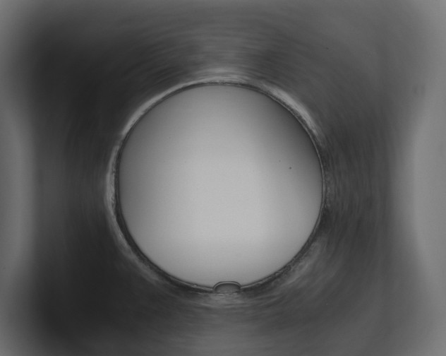 X0000101221383200806270915