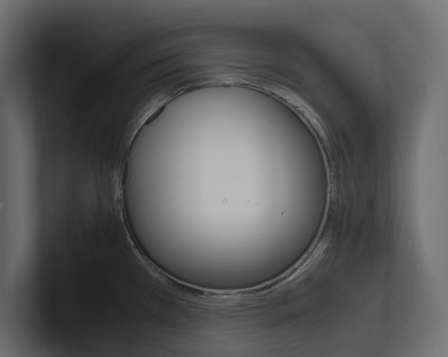 X0000101221385200806270915