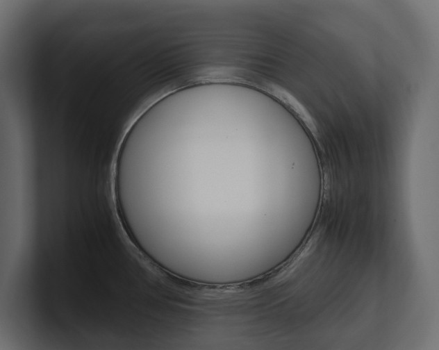 X0000101221386200806270915