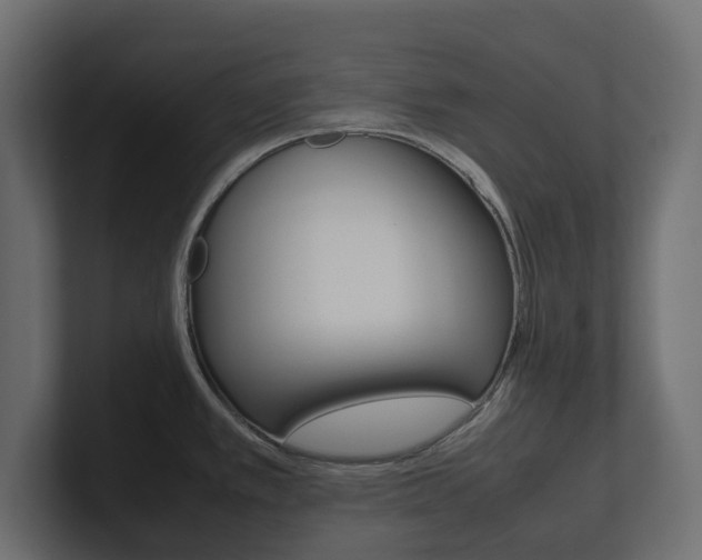 X0000101221389200806270915