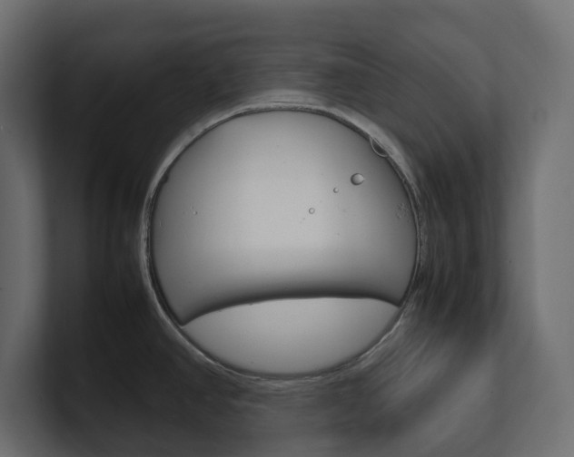 X0000101221390200806270915