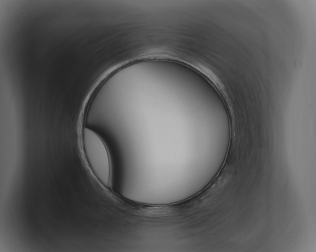 X0000101221392200806270915