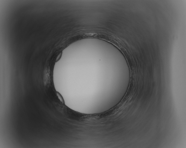 X0000101221394200806270915