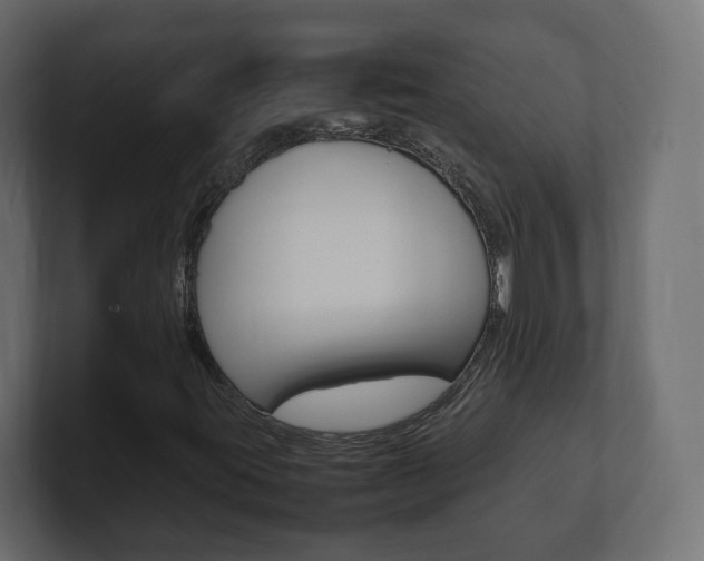 X0000101221395200806270915