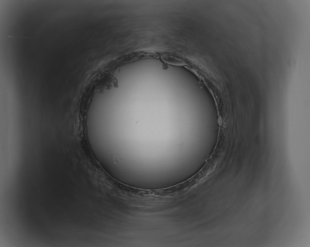 X0000101221398200806270915