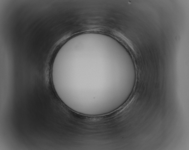 X0000101221411200806270915