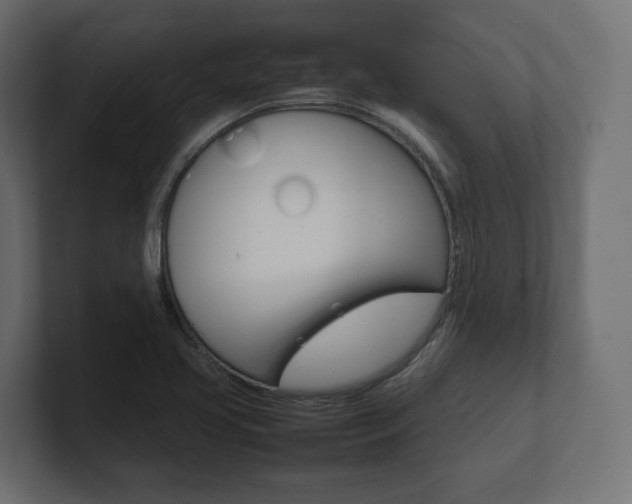 X0000101221413200806270915