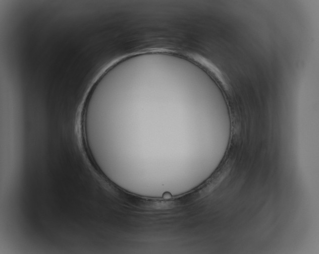 X0000101221423200806270915