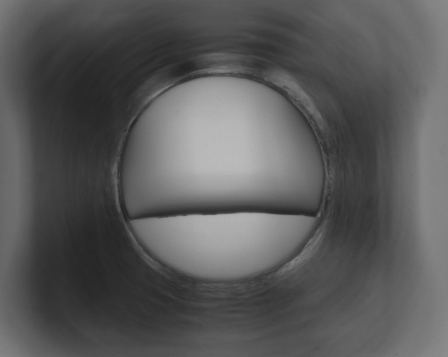 X0000101221425200806270915