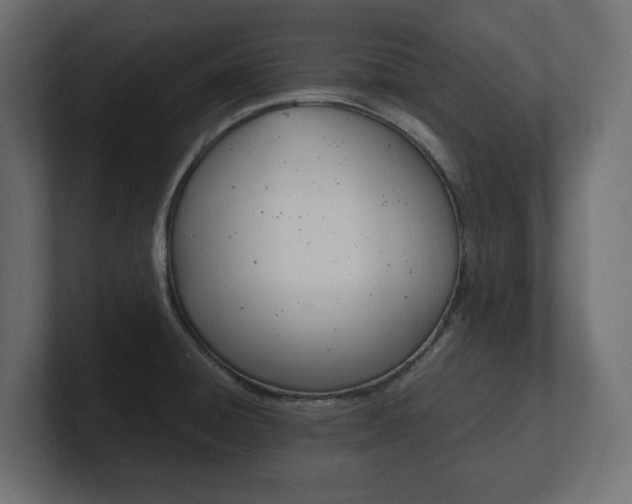 X0000101221428200806270915
