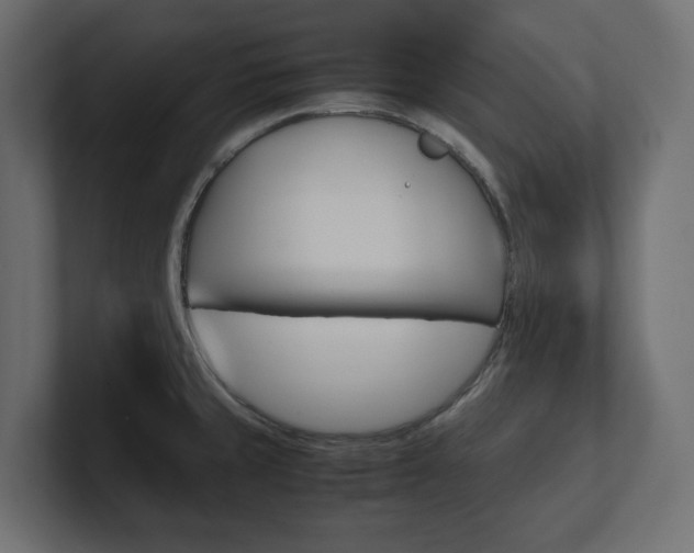 X0000101221429200806270915