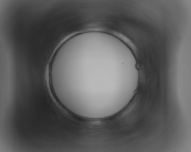 X0000101221431200806270915