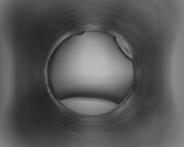X0000101221434200806270915