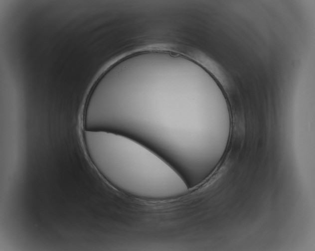 X0000101221436200806270915