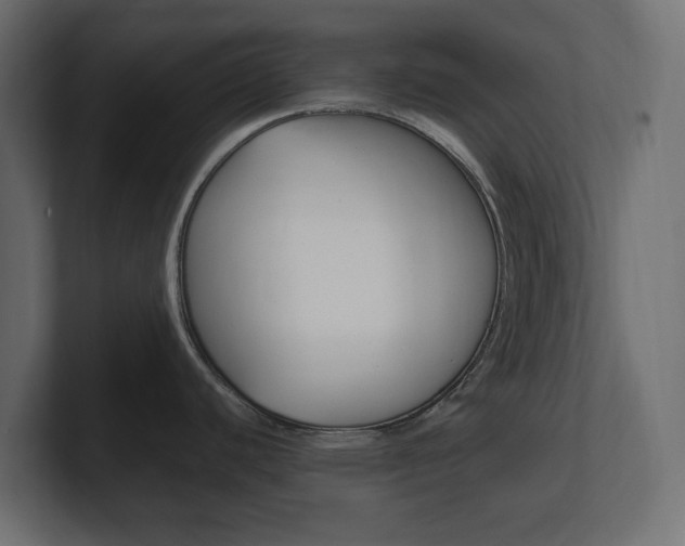 X0000101221440200806270915