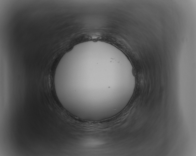 X0000101221442200806270915