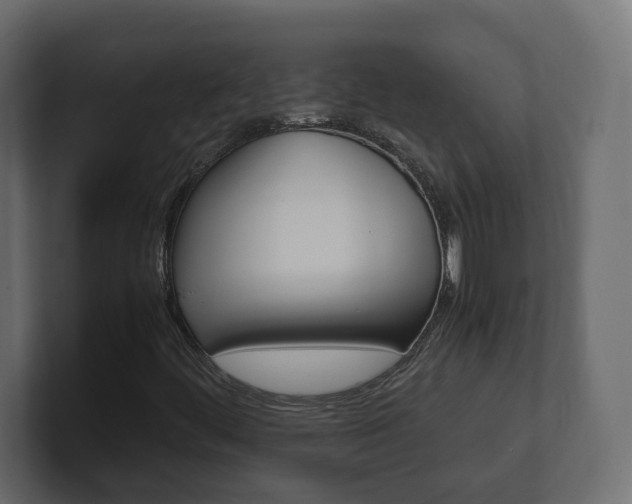 X0000101221444200806270914