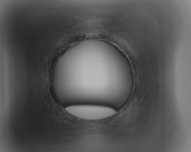 X0000101221445200806270914