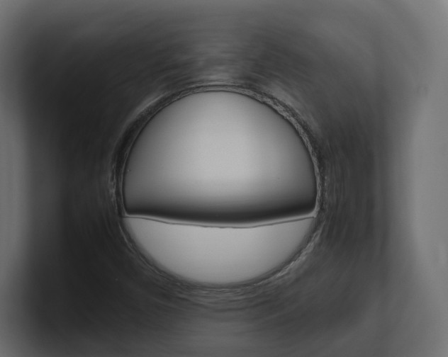 X0000101221450200806270914