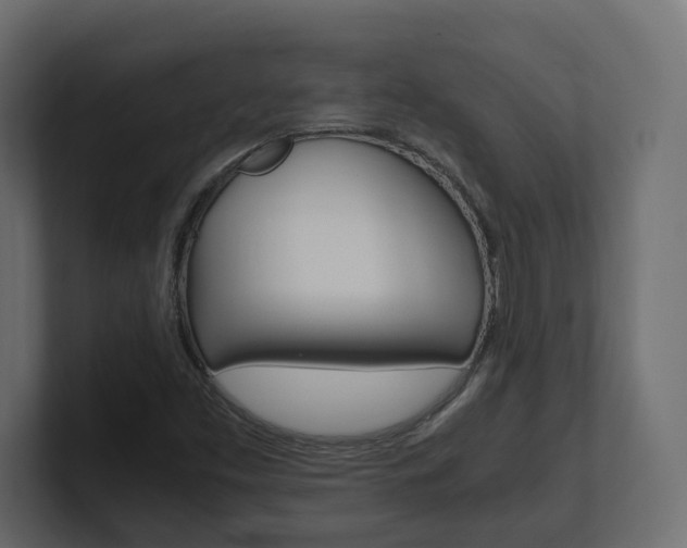 X0000101221453200806270914