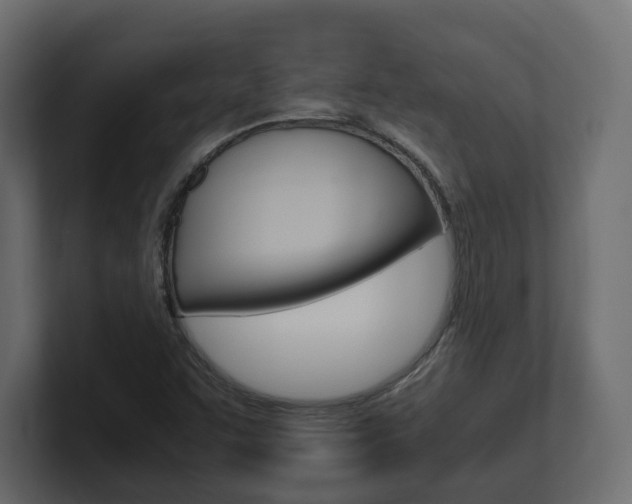 X0000101221455200806270914