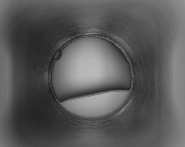 X0000101221457200806270914