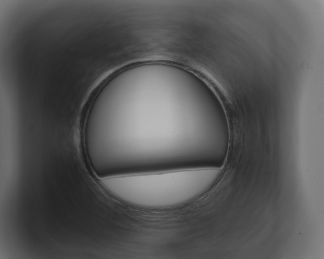X0000101221460200806270914